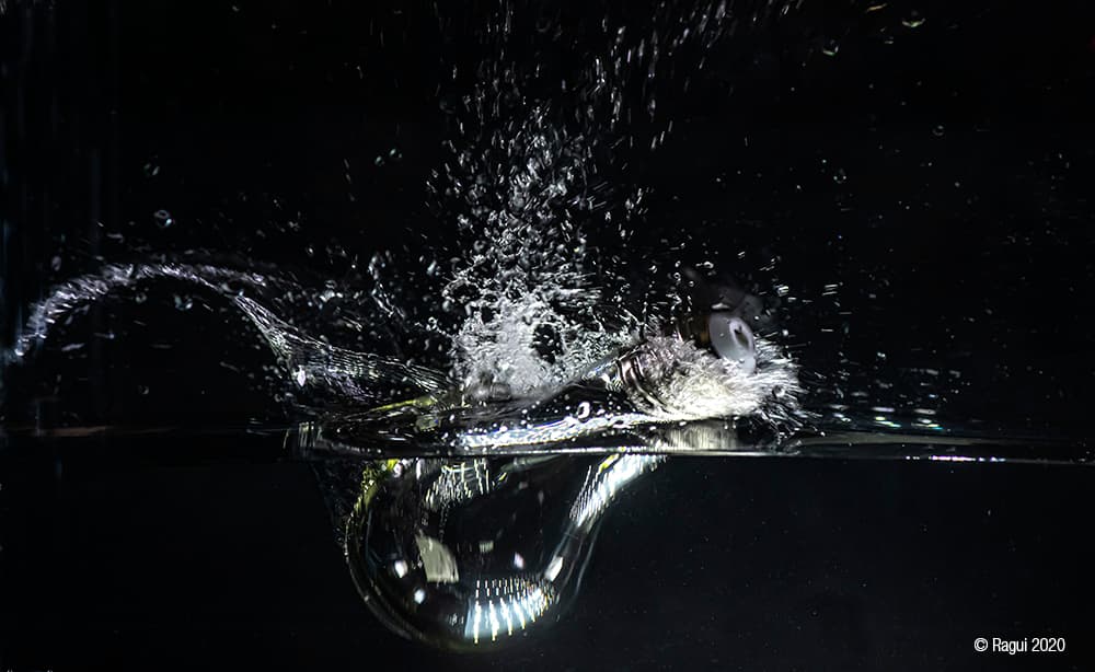 Splash