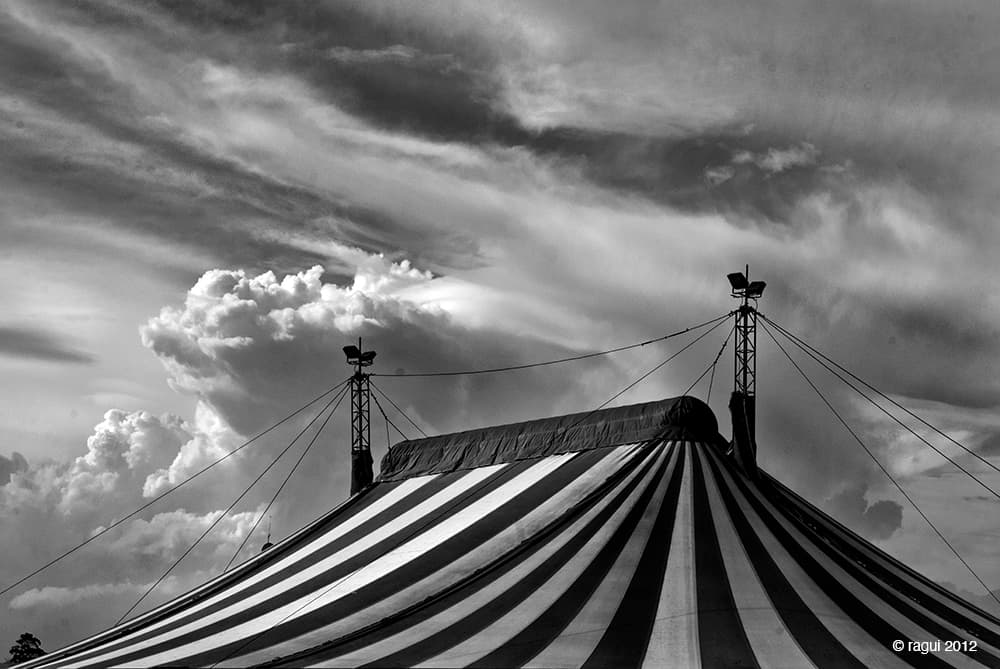 Circo a la tarde