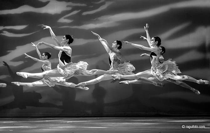 el vuelo de los cisnes master
