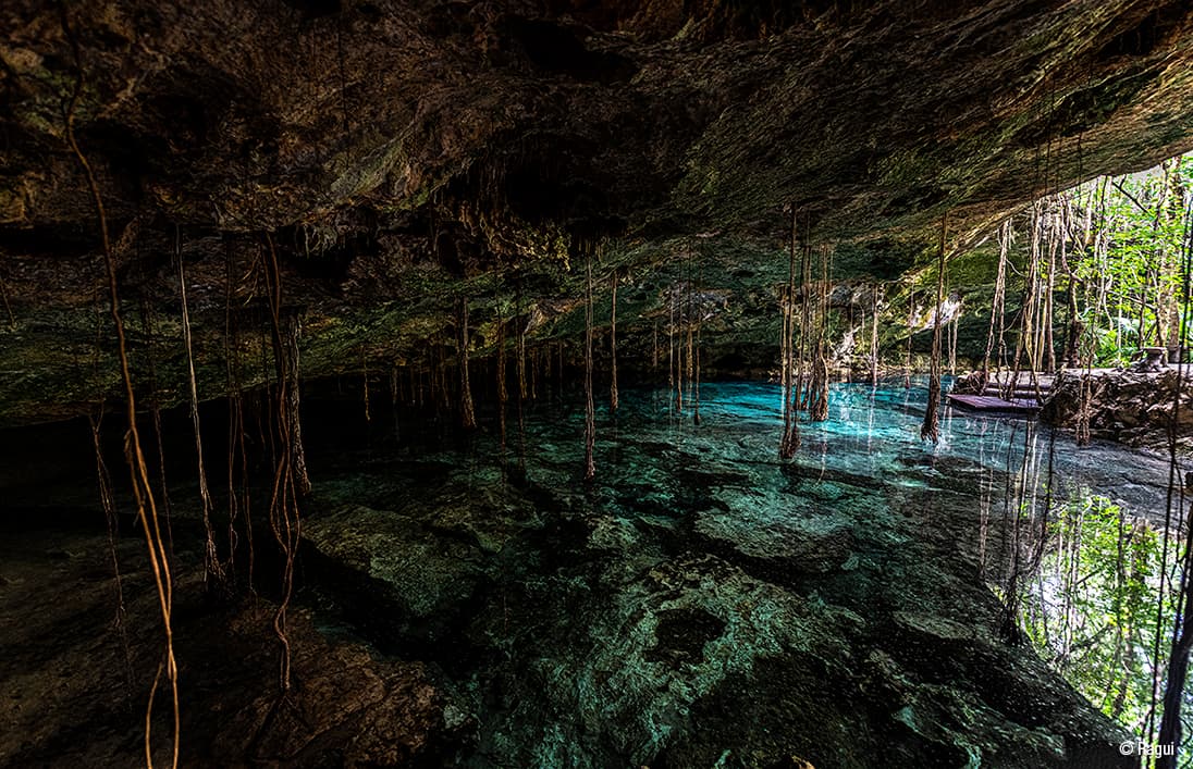 Cenote raices