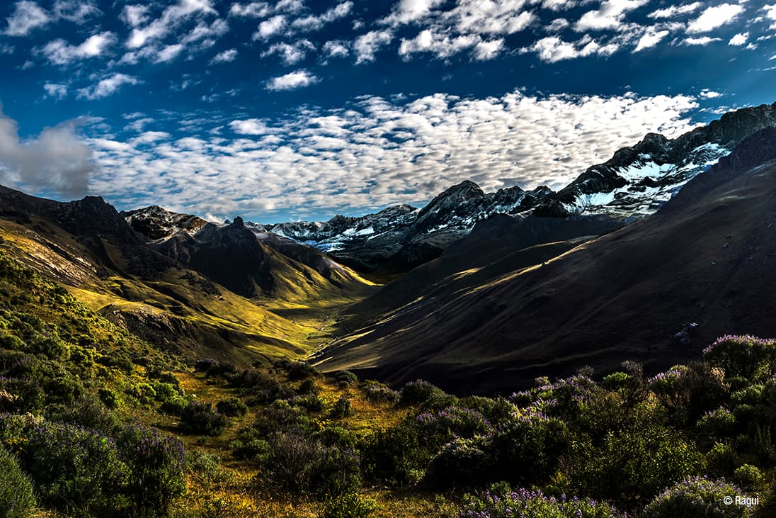 La pampa Rondoy