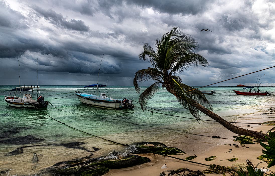 Turbulentos cielos