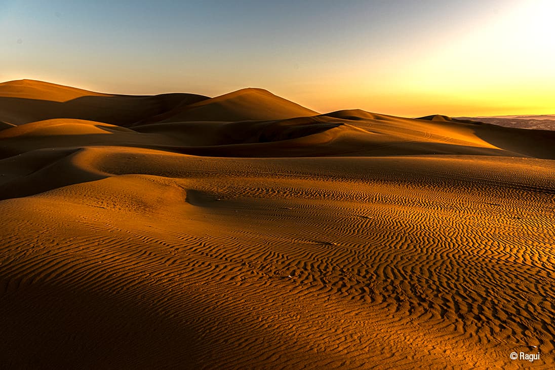 poemas del desierto
