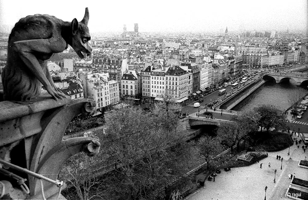 Vigilante de una ciudad