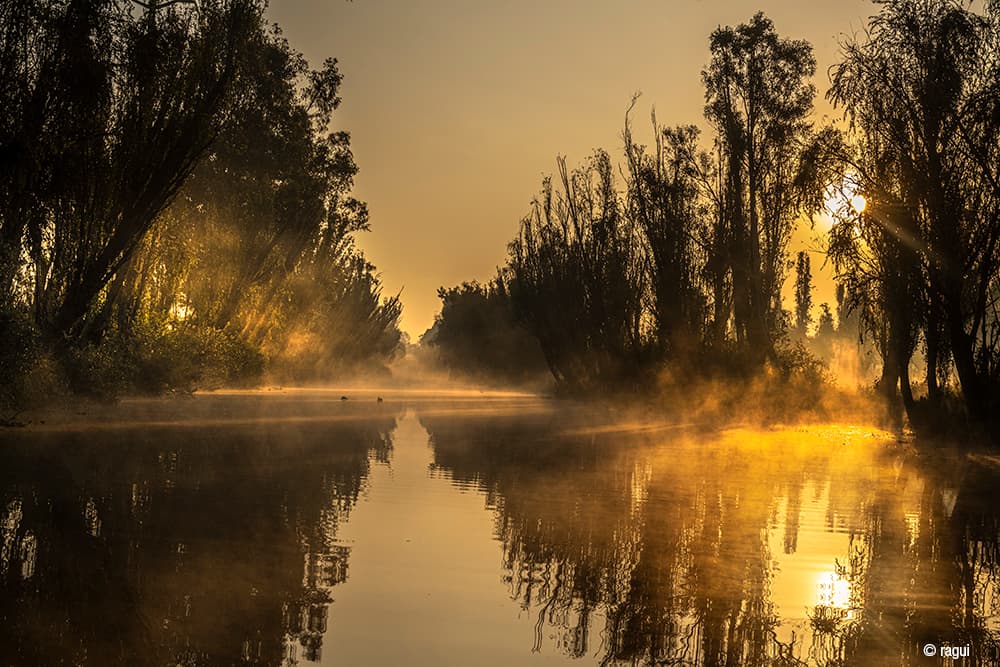 Amaneciendo en ti. Xochimilco